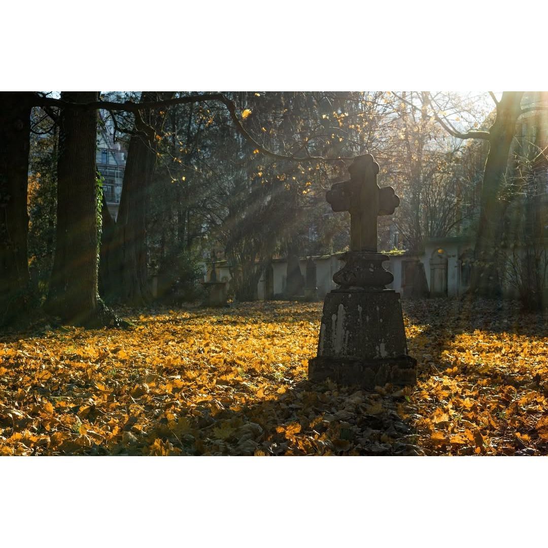 Heiko Wersig für Boderitz, Cunnersdorf, Welschhufe,Börnchen, Possendorf, Wilmsdorf,Hänichen, Rippien,Goppeln, Golberode, Gaustritz