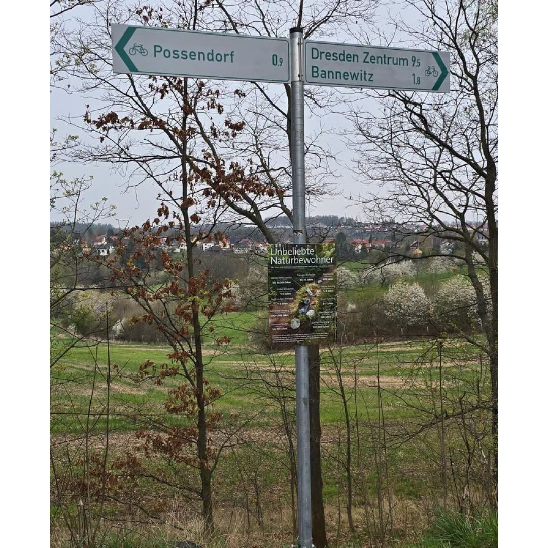 Heiko Wersig für Boderitz, Cunnersdorf, Welschhufe,Börnchen, Possendorf, Wilmsdorf,Hänichen, Rippien,Goppeln, Golberode, Gaustritz