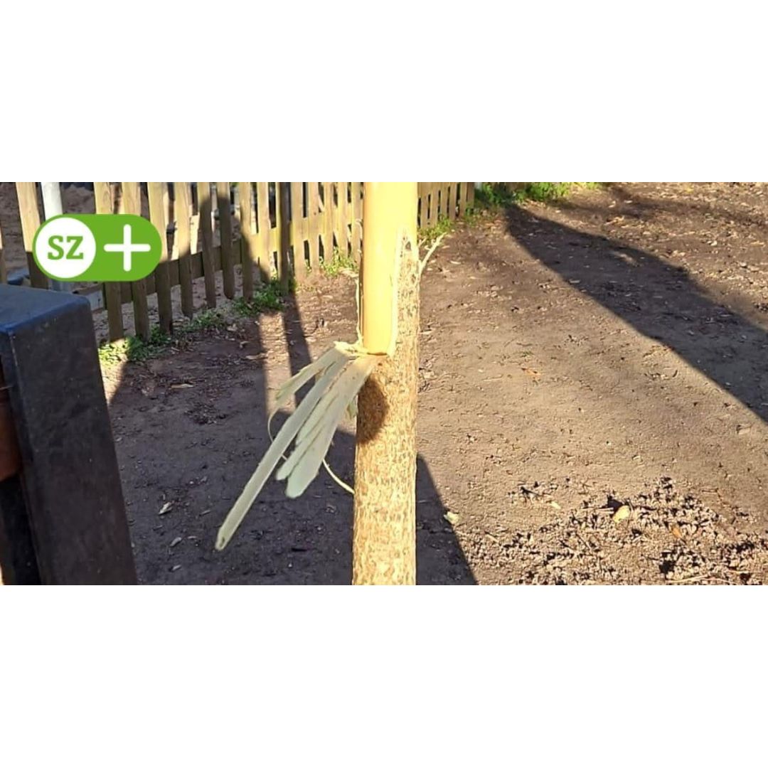 Heiko Wersig für Boderitz, Cunnersdorf, Welschhufe,Börnchen, Possendorf, Wilmsdorf,Hänichen, Rippien,Goppeln, Golberode, Gaustritz