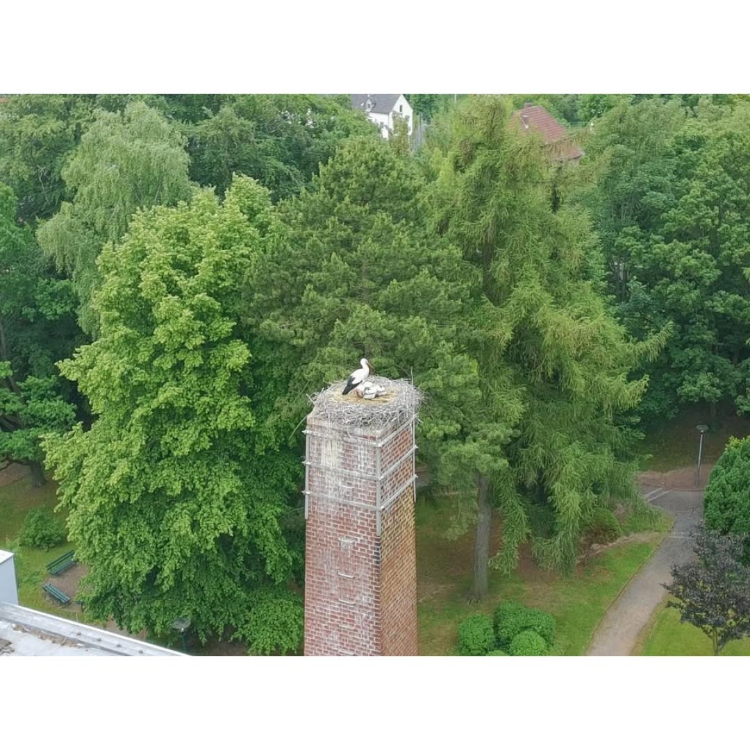 Heiko Wersig für Boderitz, Cunnersdorf, Welschhufe,Börnchen, Possendorf, Wilmsdorf,Hänichen, Rippien,Goppeln, Golberode, Gaustritz